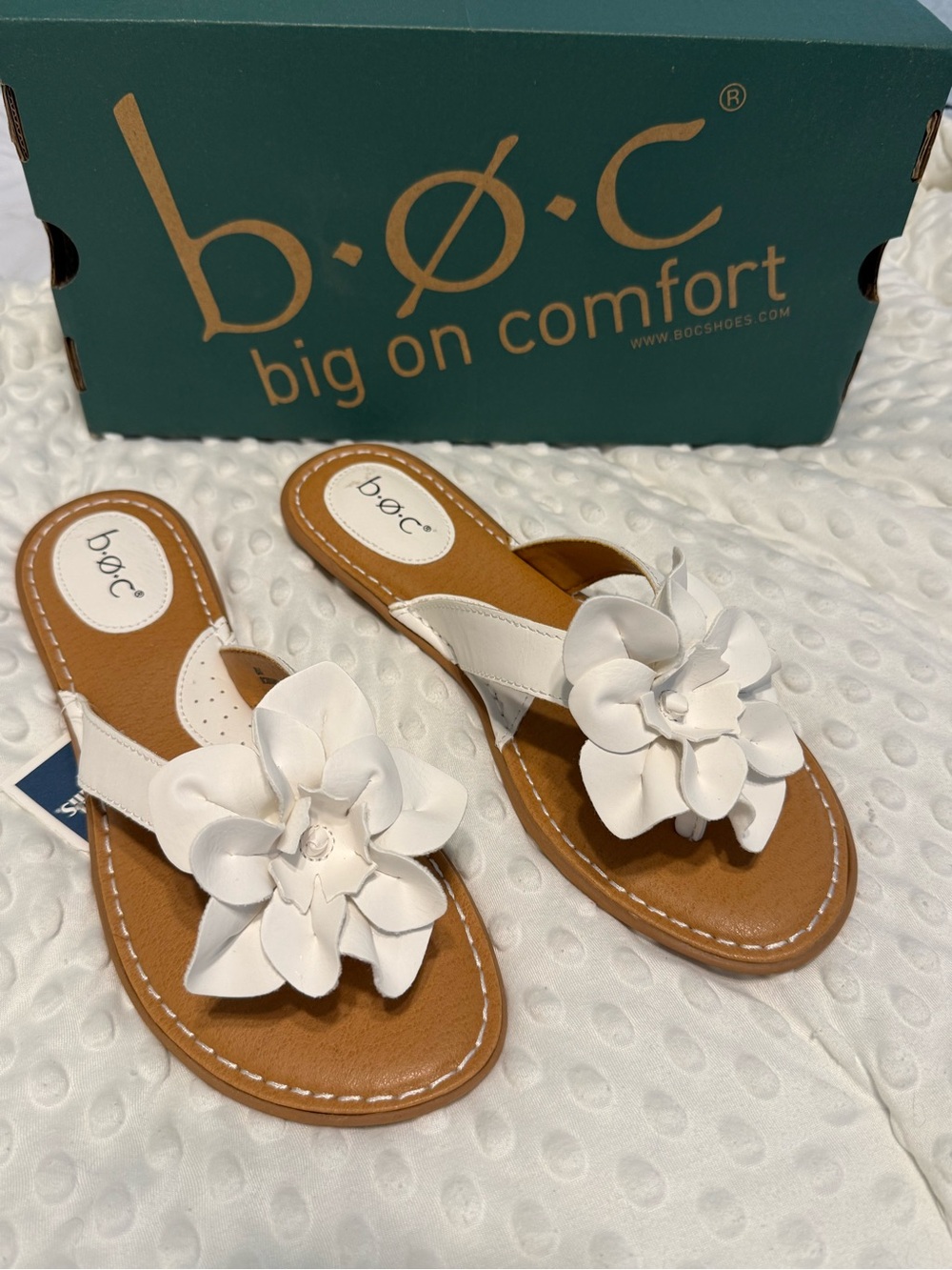 Big on comfort boc